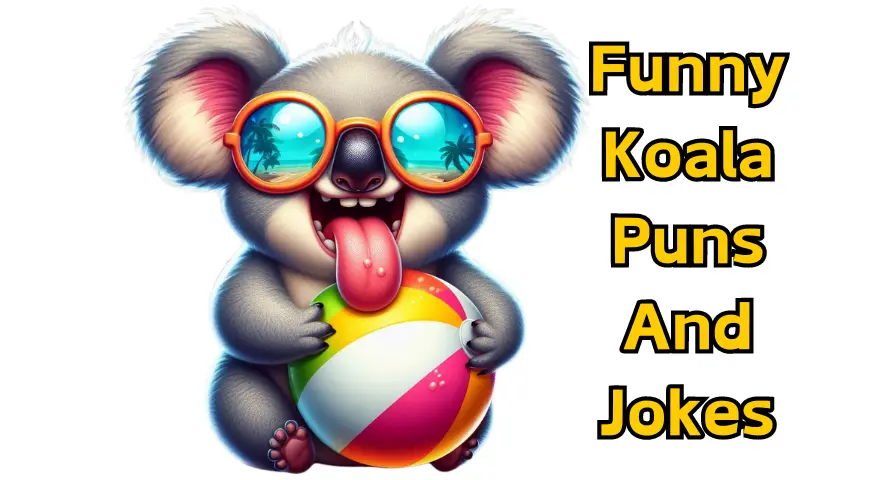 Funny Koala Puns