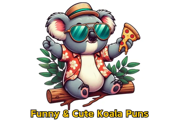 Funny Koala Puns