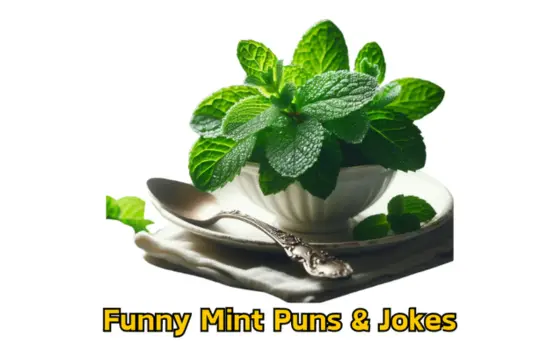 Funny Mint Puns