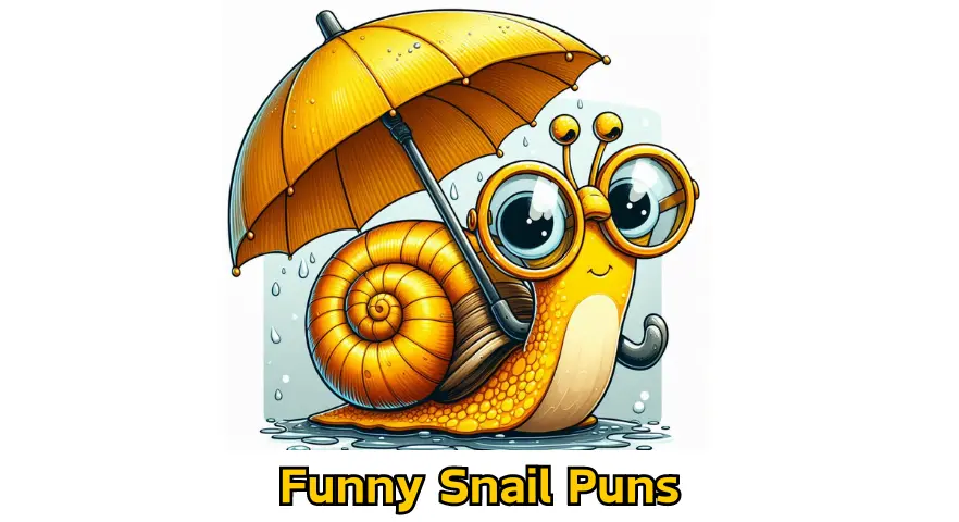 Funny Snail Puns