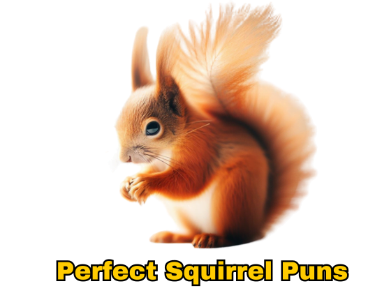 Perfect Squirrel Puns