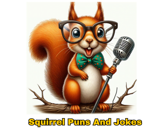 Squirrel Puns And Jokes