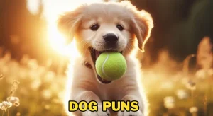 180+ Dog Puns & Jokes That Will Make You Howl With Laughter