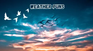 190+ Weather Puns And Jokes To Brighten Up Your Day