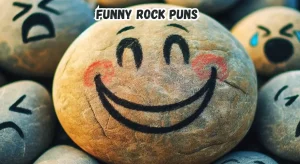 Funny Rock