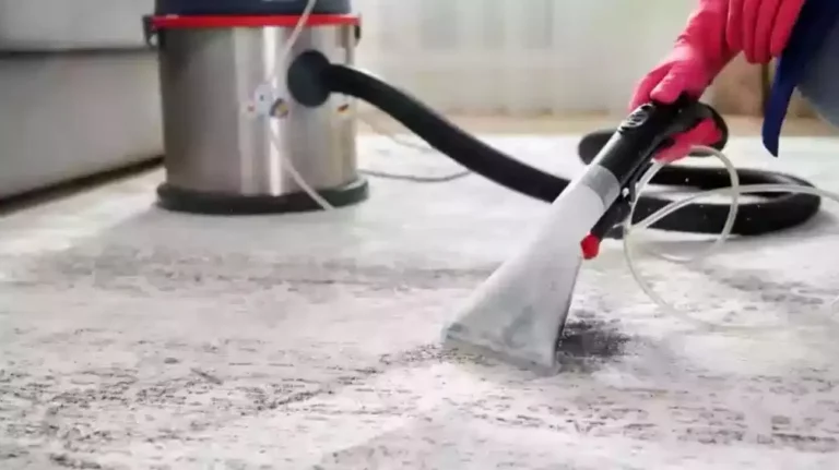 Top Reasons to Trust Carpet Bright UK for All Your Carpet Cleaning Needs