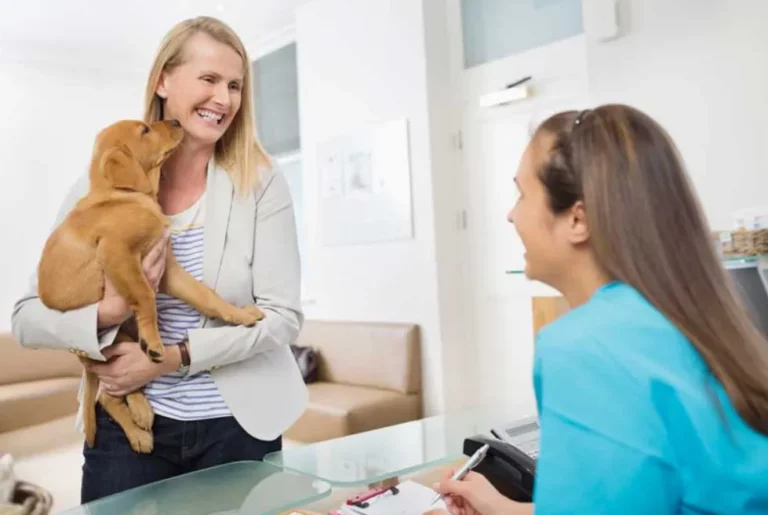 Getting Your Veterinary Practice Ready for a Successful Sale 