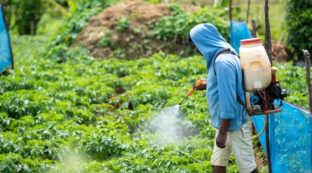 The Bugman Advantage Expert Pest Control Backed By Years Of Experience