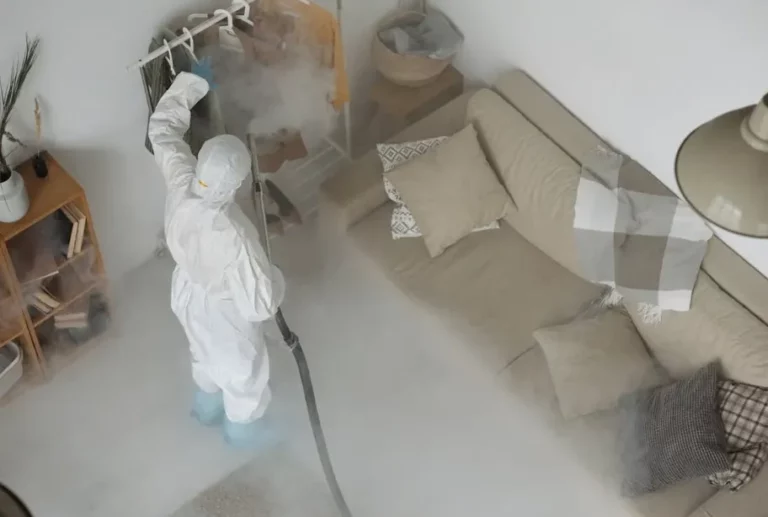 The Bugman Advantage Expert Pest Control Backed By Years Of Experience