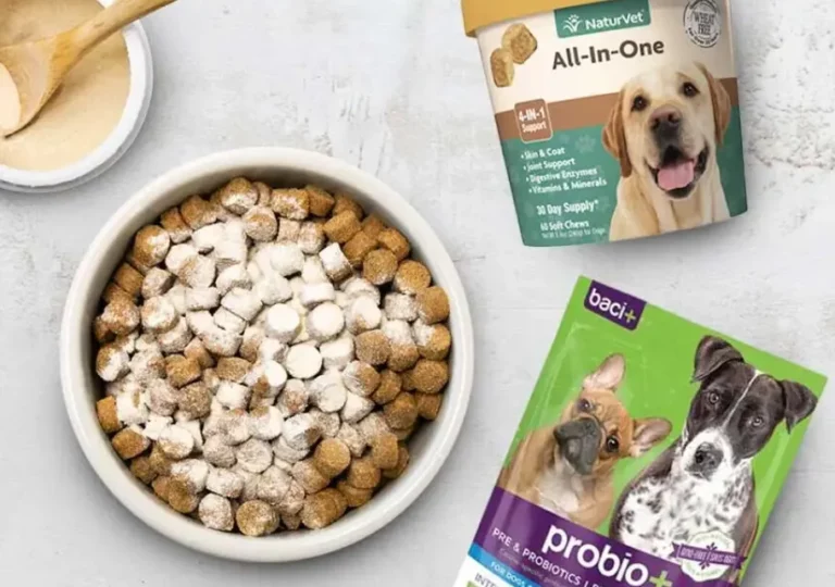 ​​When to Consider Digestive Supplements for Your Dog 