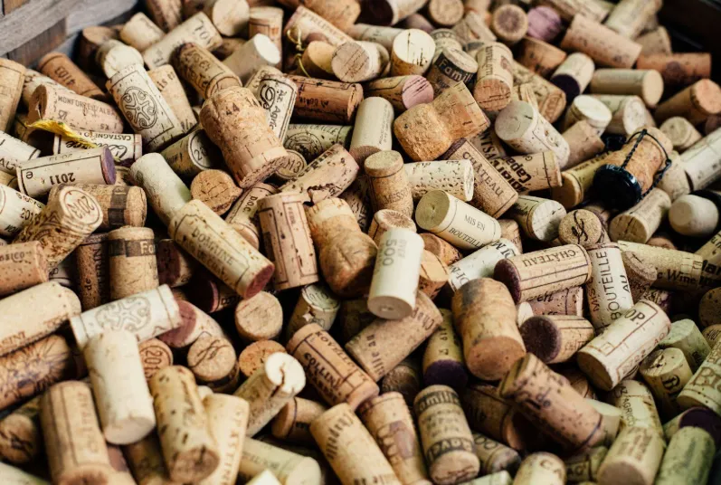 7 Everyday Items You Actually Should Recycle (And One Surprising Idea You’d Never Guess)