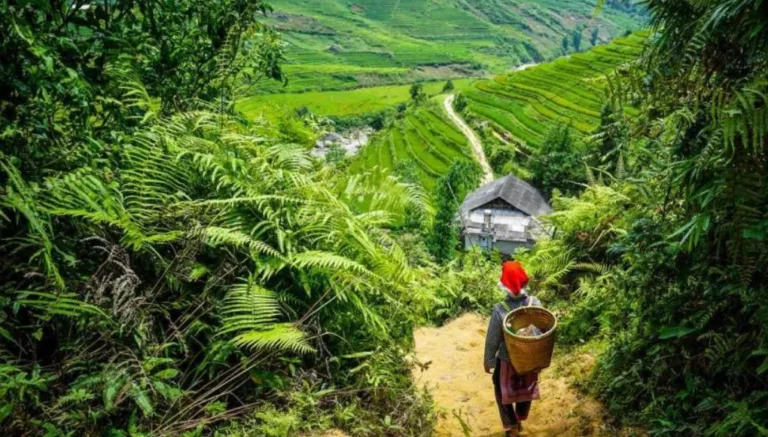 How to Travel Sustainably in Asia Without Sacrificing Comfort