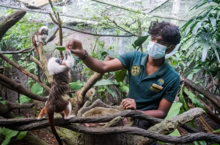 Wild Wonders Await: The Best Zookeeper Experience For Young Adventurers Wild Wonders Await The Best Zookeeper Experience For Young Adventurers