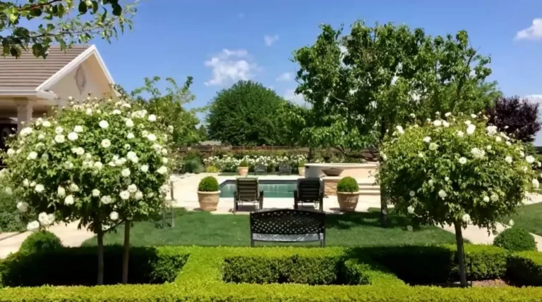 Transform Your Outdoor Space with Expert Landscape Services in Fort Worth