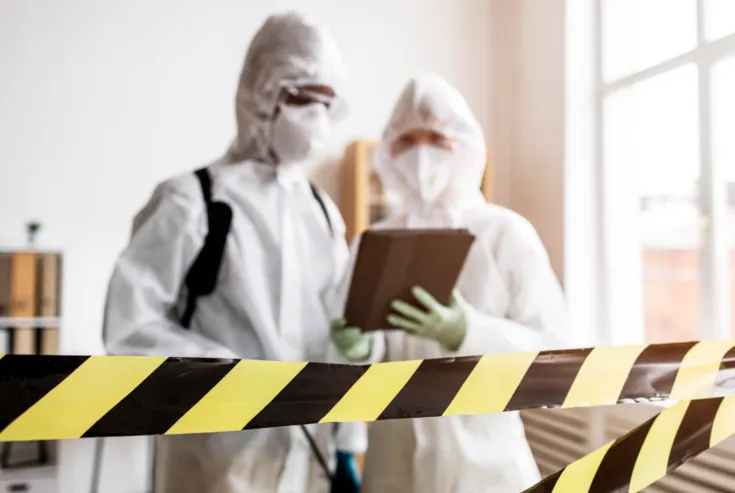 How to Identify Reliable Pest Control Nearby