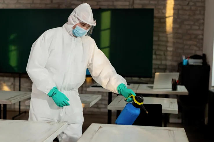 How to Identify Reliable Pest Control Nearby