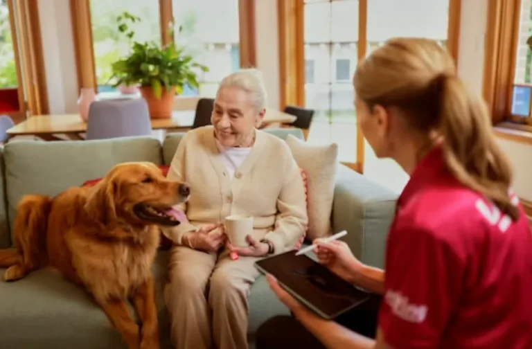 How Elderly Care Services in NSW and ACT Help Seniors Live with Dignity How Elderly Care Services in NSW and ACT Help Seniors Live with Dignity
