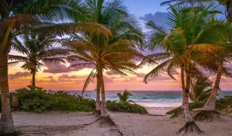 How to Buy a Property in Mexico Without Speaking Spanish: A Practical Guide How to Buy a Property in Mexico Without Speaking Spanish A Practical Guide