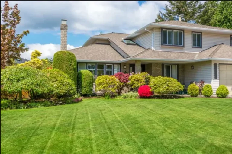 How Lawn Neglect Damages Property Value How Lawn Neglect Damages Property Value